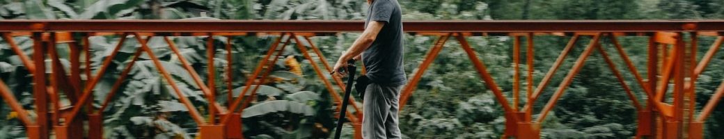 pexels-denniz-futalan-1379374